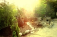Show Garden 15